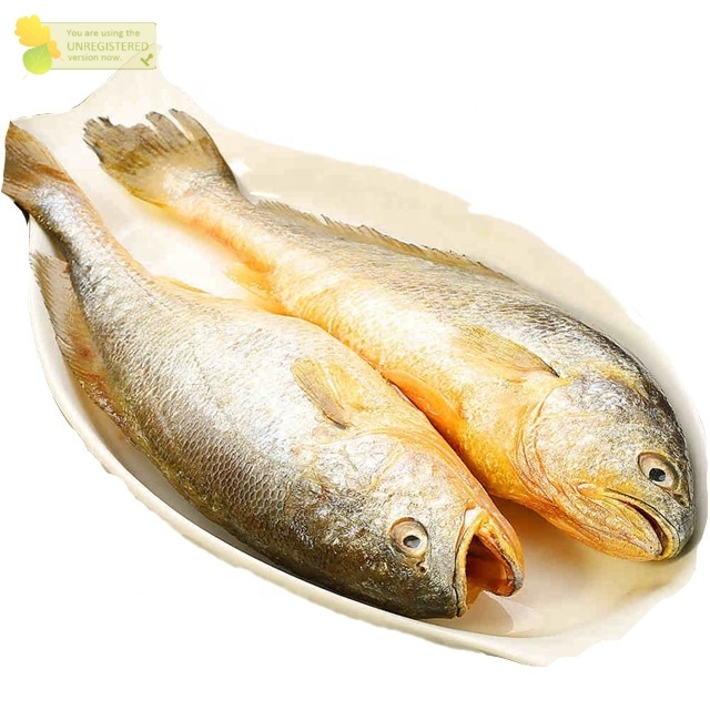 

Ikan Same 1Kg Ikan Samge Segar Seafood Ikan Laut Segar