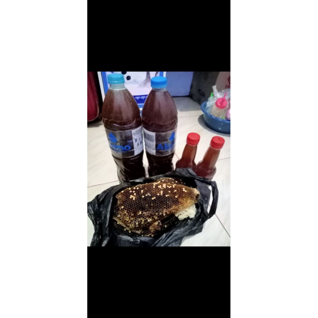 

madu lebah