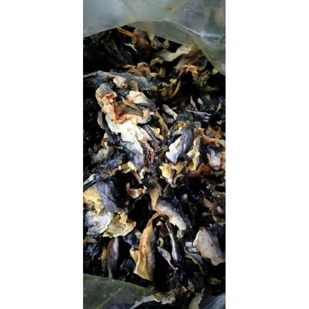 Kerupuk Kulit Cemilan Kerupuk Kulit Ikan Salmon Mentah Aluman