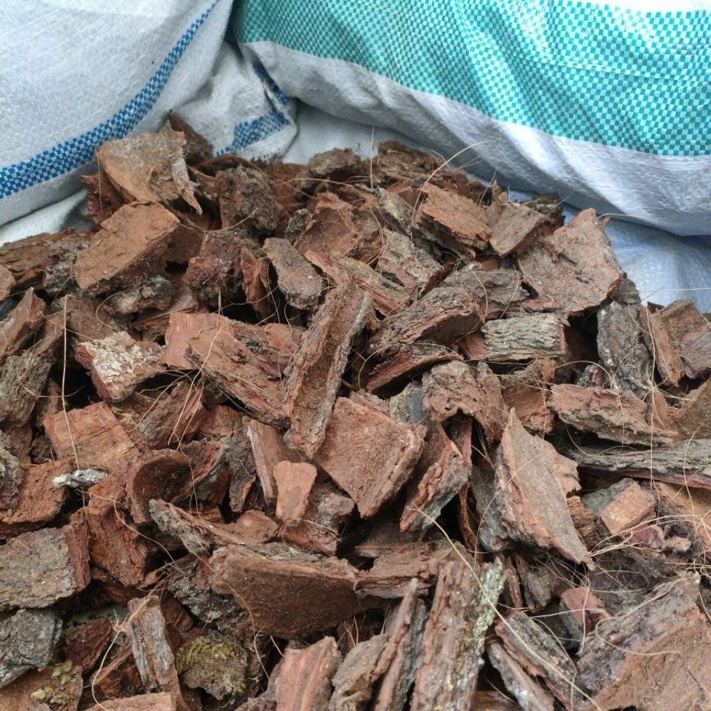 kulit pinus media anggrek