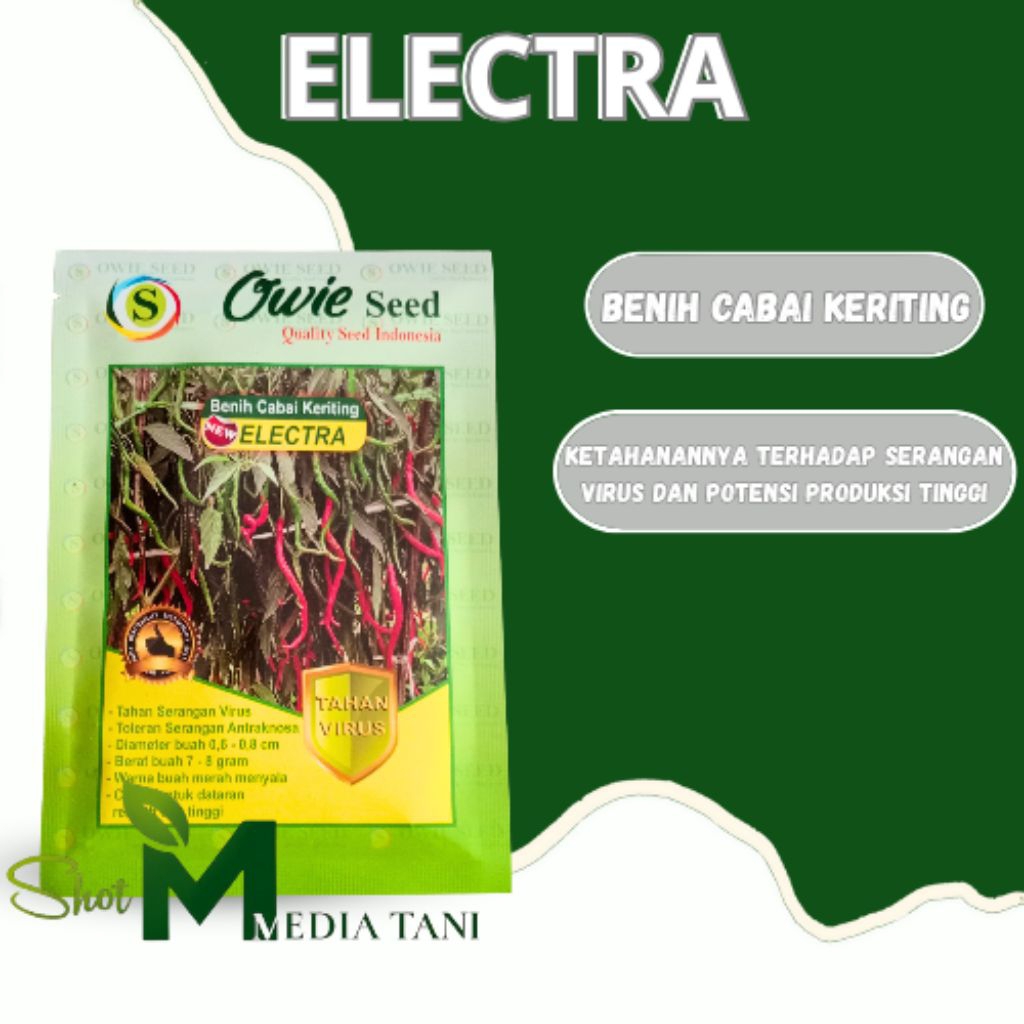 benih cabe unggul ELECTRA tahan virus kuning