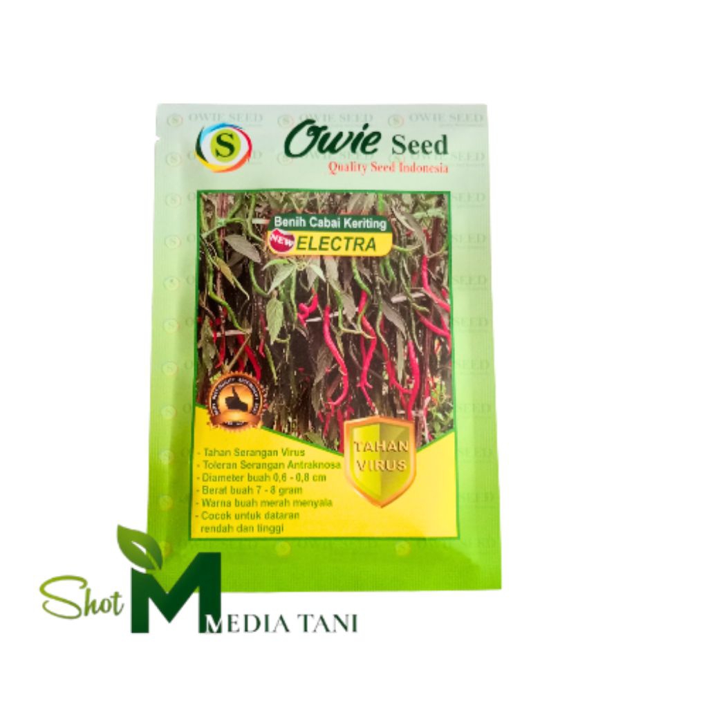 Cabe Electra Benih Cabe Tahan Virus Original Pabrik 13gr