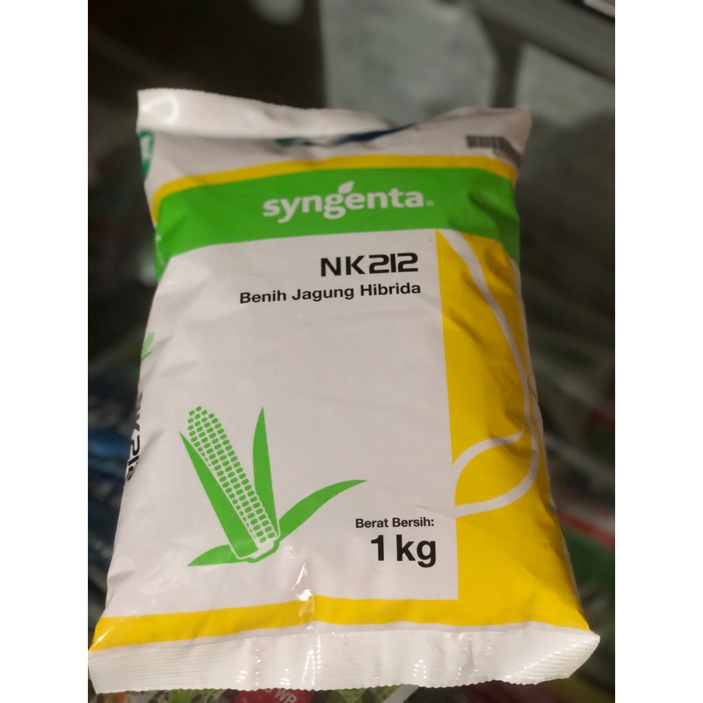 Benih jagung hibrida NK 212