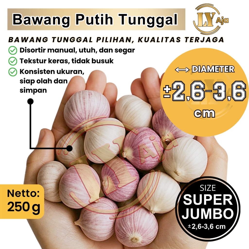 

Bawang Putih Tunggal 250g Premium Super Jumbo Besar Sedang Kecil LY Aja - Lanang
