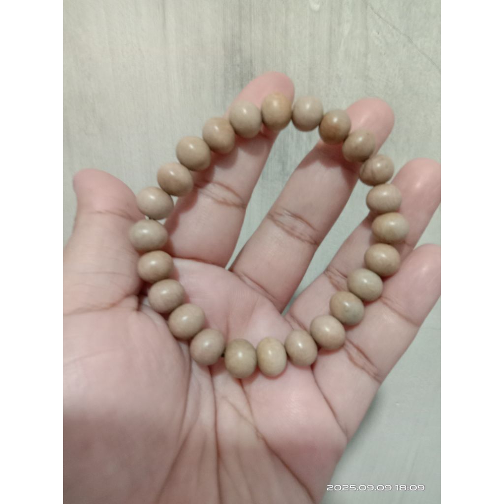 FATMA CALINA - gelang dewandaru karimun jawa 8 mm gelang dewandaru 8 mm