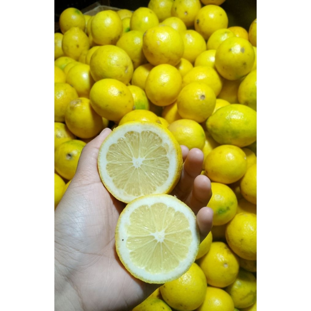 Lemon California  Segar 1kg - Jeruk Lemon California Fresh 1 kg / Buah Sayur
