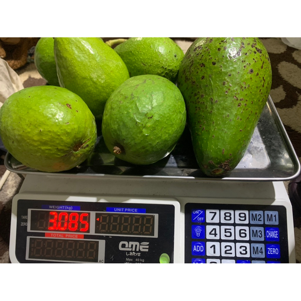 

alpokat mentega super legit