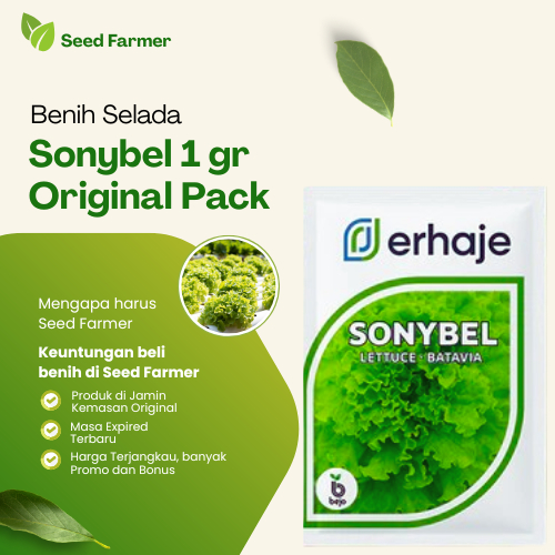 Benih Bibit Selada Sonybel 1 Gram Original Pabrik Pengganti Myrtel Sonibel Bejo Seed