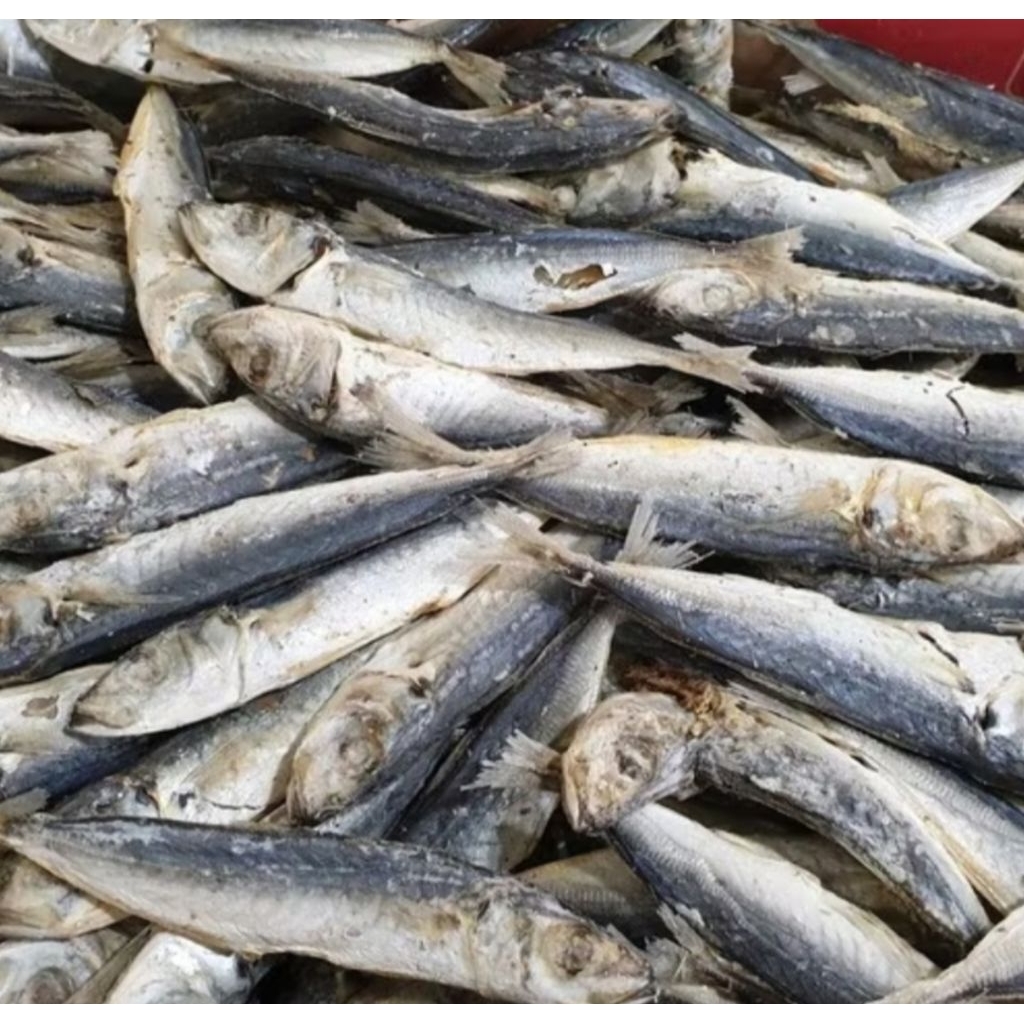 

ikan asin layang rebus Lampung kualitas terbaik 200 gram(packing tinwall+kardus+bubble wrap)