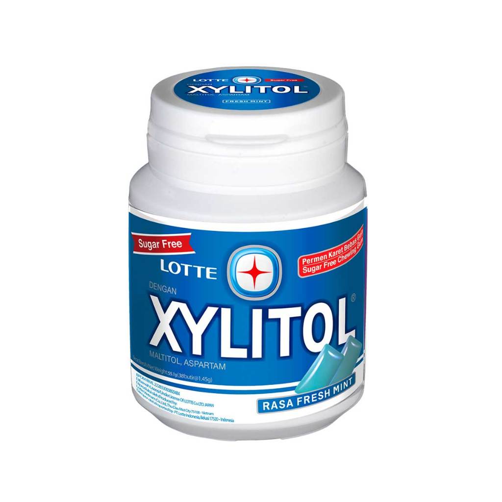 LOTTE XYLITOL COOLMINT 55GR(8934677064114)