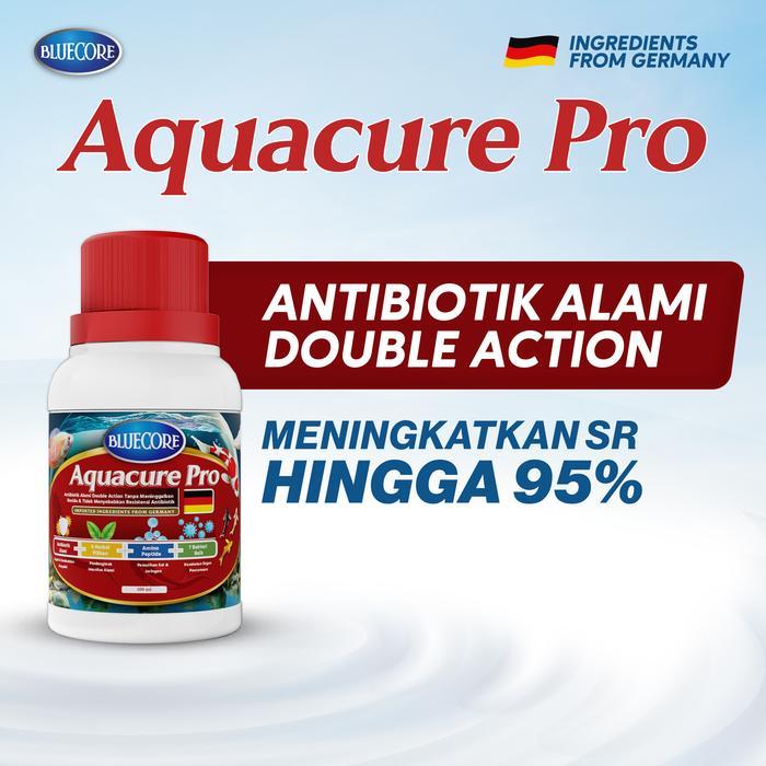 BlueCore AquaCure-Pro Antibiotik Alami Ikan dengan Double Action Formula (Extra Herbs) untuk menyemb