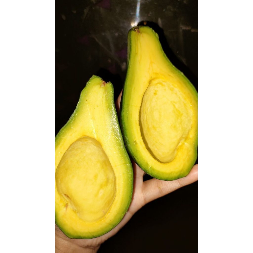 

Alpukat mentega 1kg isi 4.6.7 bergaransi kualitas supermarket