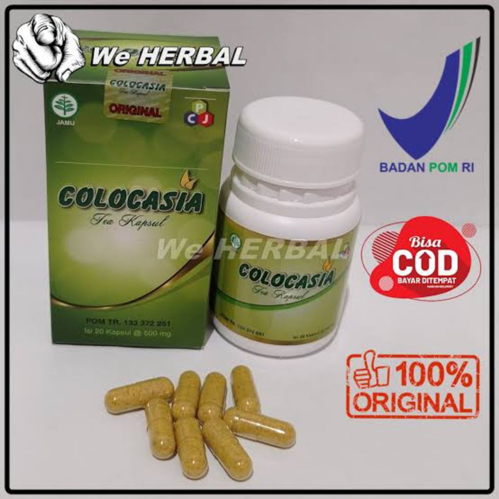 Colocasia Obat Nyeri Sendi Dan Tulang Asli Original Colocasia BPOM