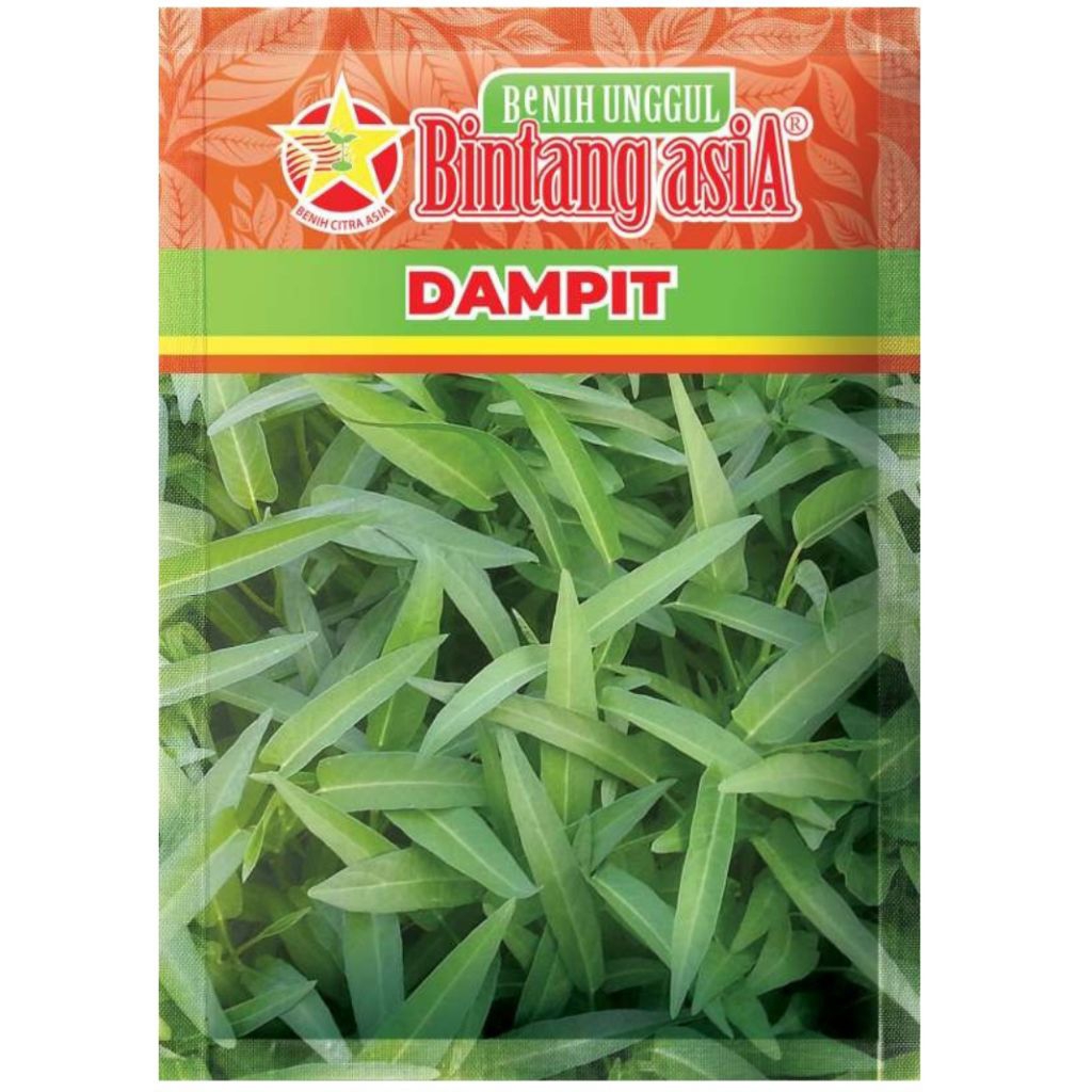 

Kangkung DAMPIT (Berdaun Sempit) Kemasan 1 kg Bintang Asia