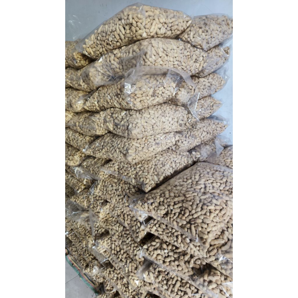 

PAKET USAHA Kacang Tanah 3 Kg Renyah Gurih Oven Panggang