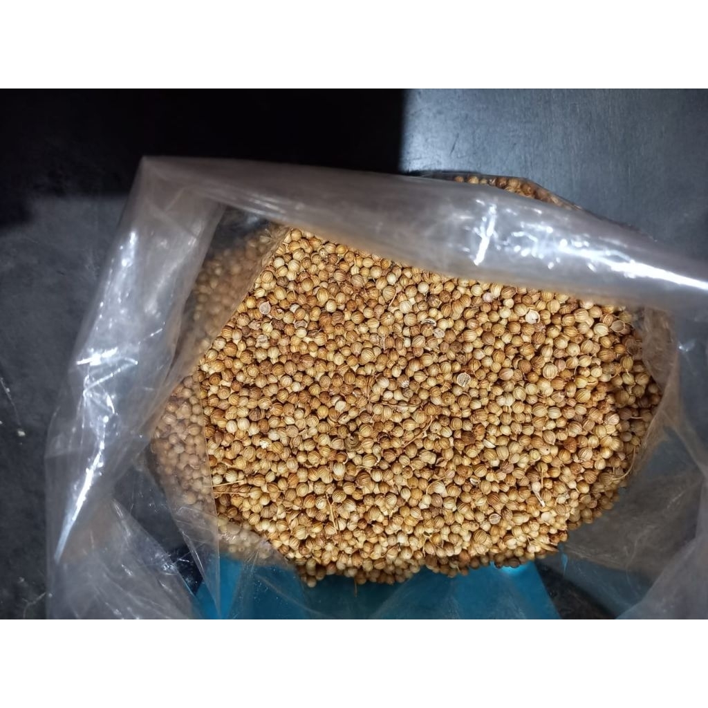 

ketumbar fresh langsung petani