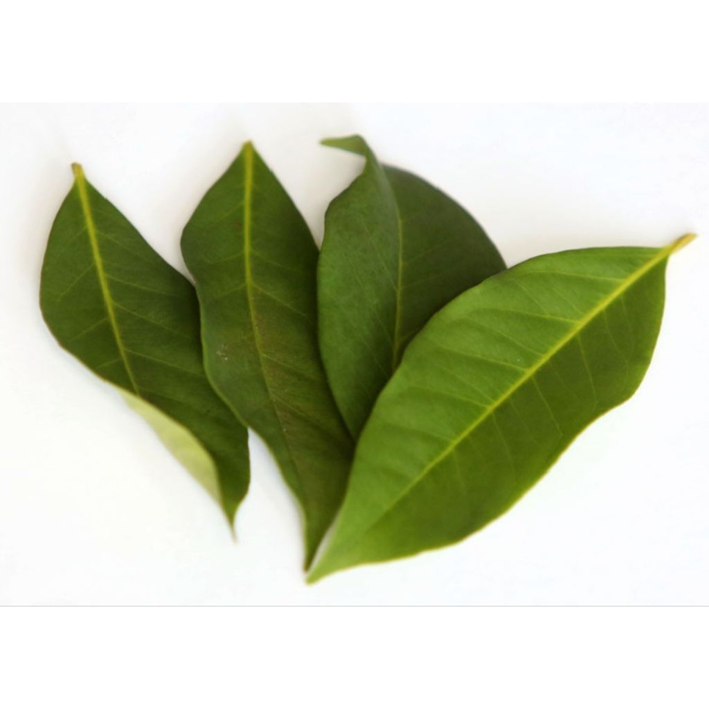 

bumbu dapur daun salam 25gr daun bawang 25gr