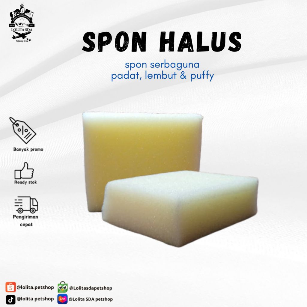 SPON AYAM BANGKOK BUSA SPON MANDI AYAM