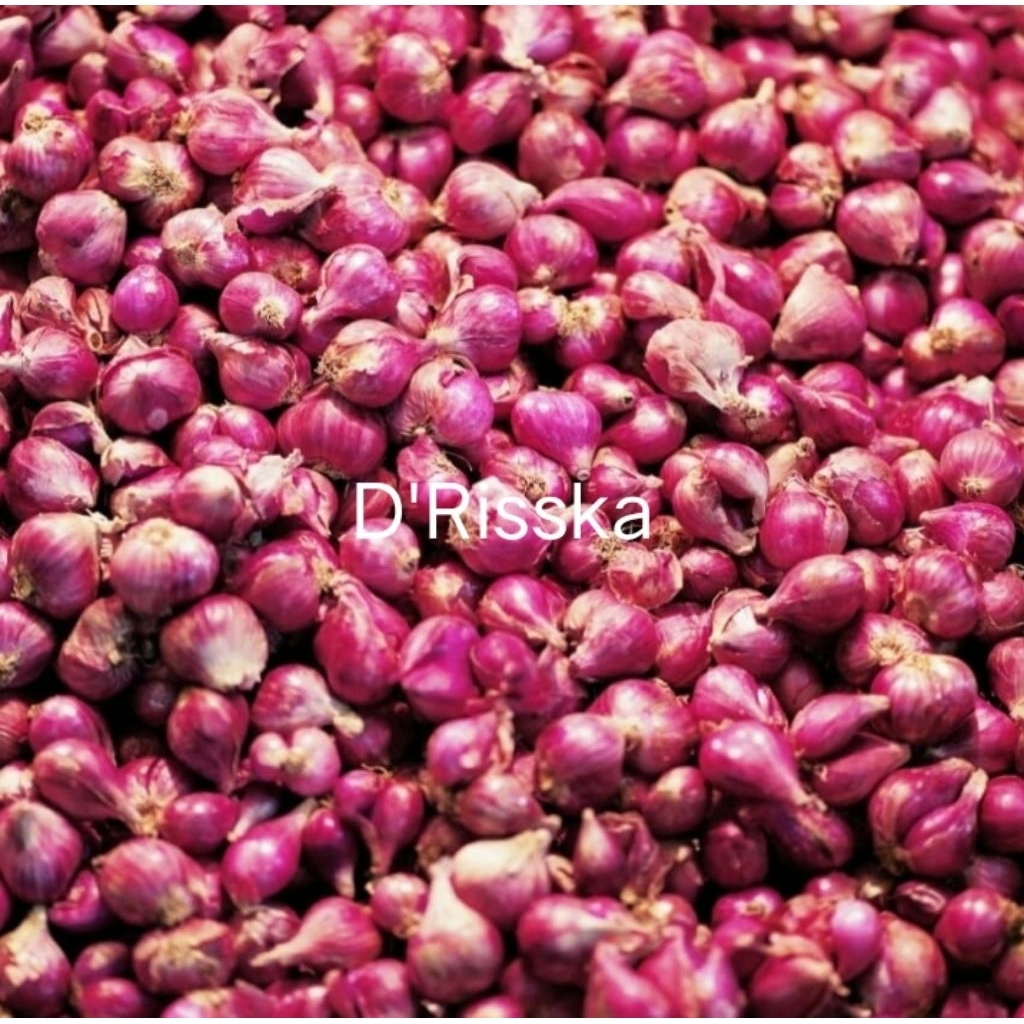 

bawang merah segar untuk jenis masakan Nusantara sehat berhasiat