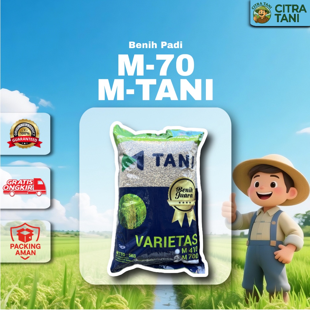 M70D M Tani - Benih Padi Genjah 70 Hari Panen (Expired 18 Maret 2026)