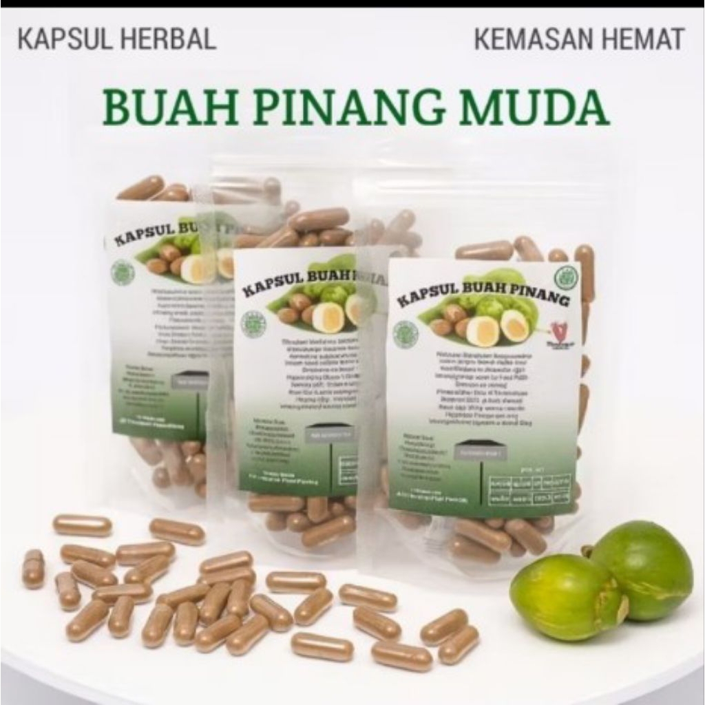 original kapsul pinang untuk asam urat stamina merapatkan vegina dan baik untuk tulang