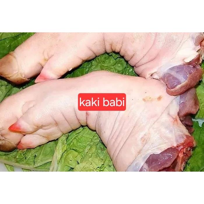 

Kaki Babi Depan Segar Premium 500gr -1kg – Pork Trotters Fresh untuk Sup & Masakan Asia