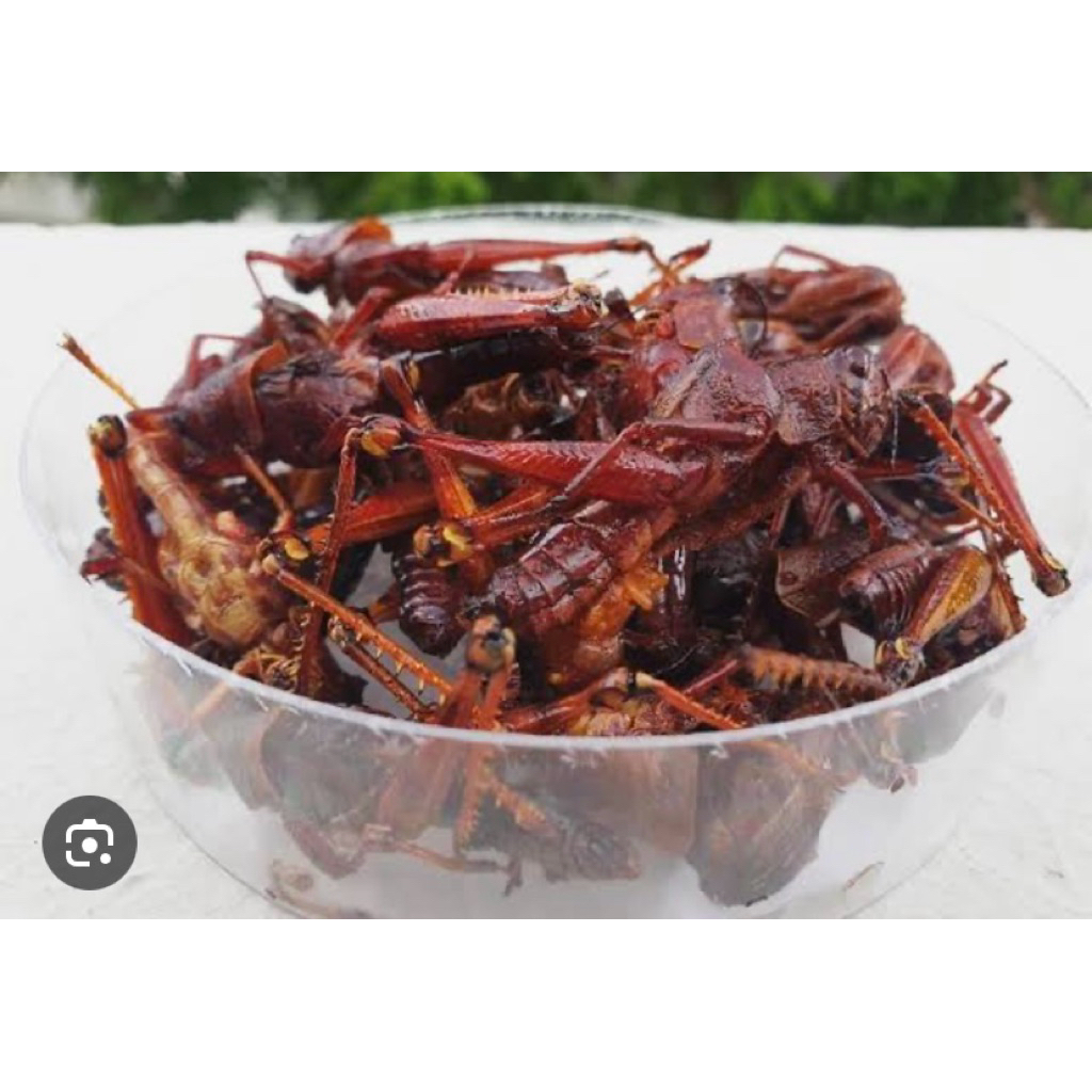 

walang goreng gurihh