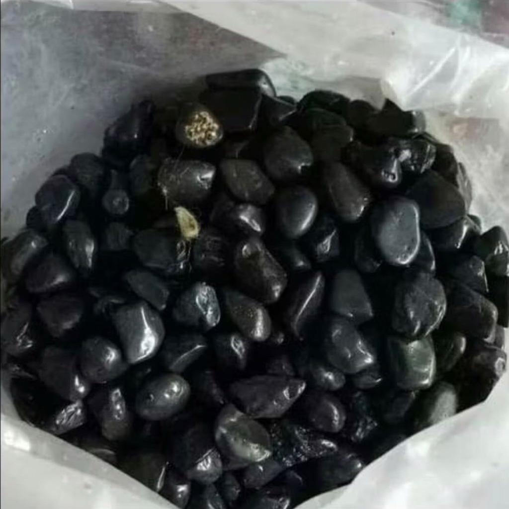 Batu Hitam Bengkulu 1 Karung (Batu Alam Koral Hias Taman)