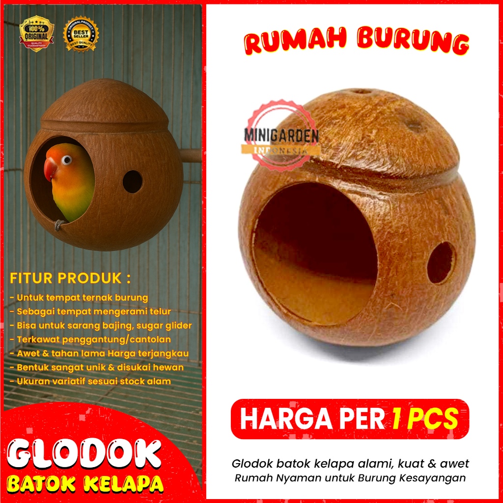 GLODOK BATOK KELAPA rumah burung lovebird glodok burung kenari murai