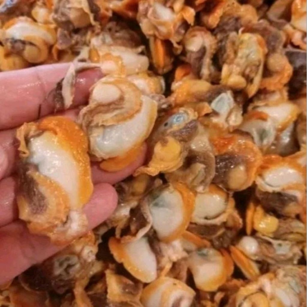 

kerang dara kupas seger d jual per 500gr ya kak