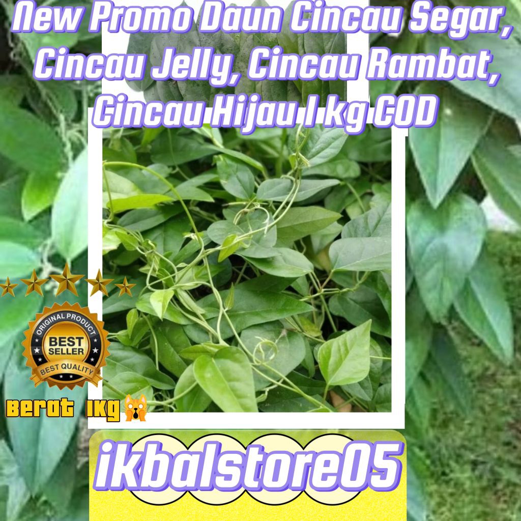 Daun Cincau Segar, Cincau Jelly, Cincau Rambat, Cincau Hijau