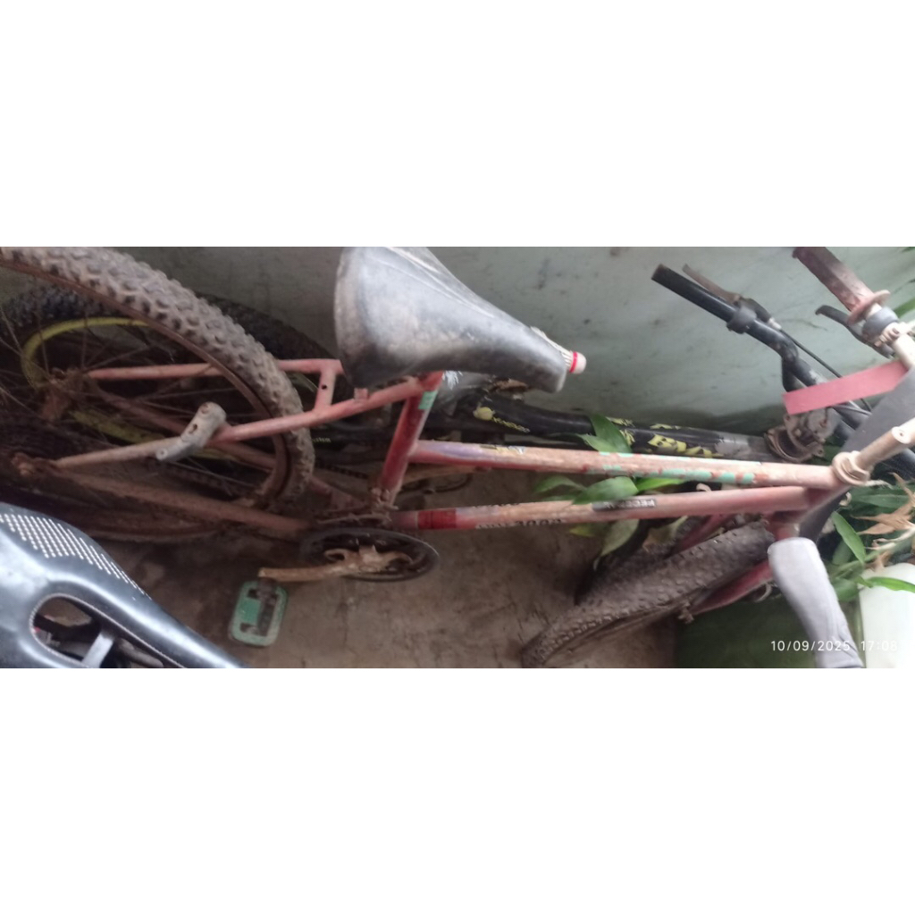 frame sepeda federal lady