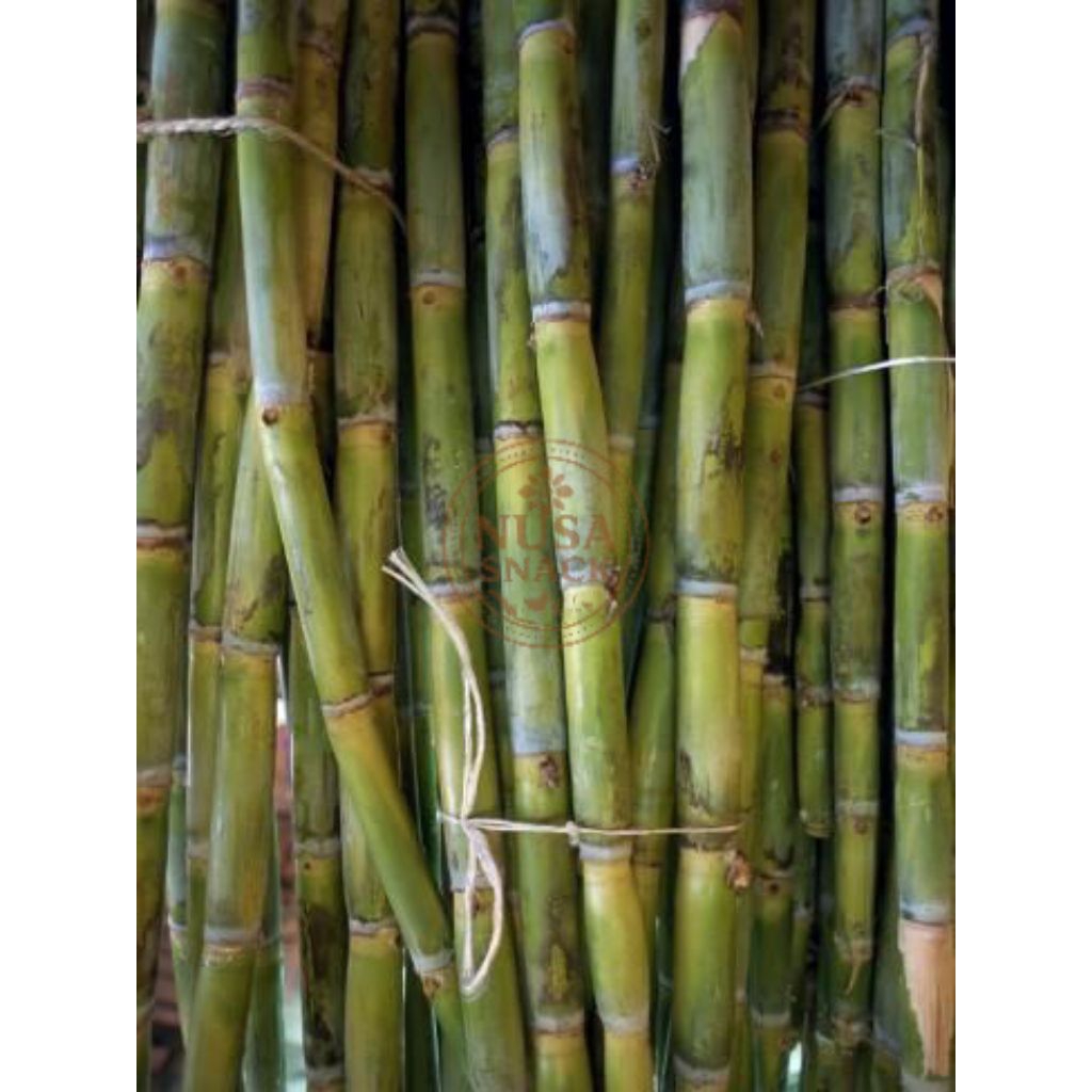 

Tebu Hijau Manis Segar Berat 1 Kg