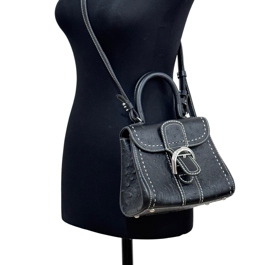 Ready - Limited Edition DELVAU•X Bag Ostrich Leather VVIP