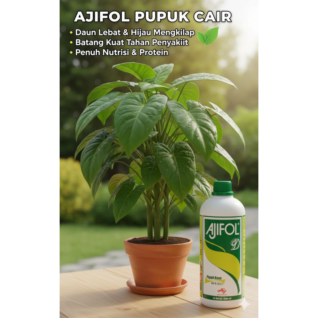 AJIFOL D pupuk cair penumbuh daun penguat akar pupuk ajifol D 1L