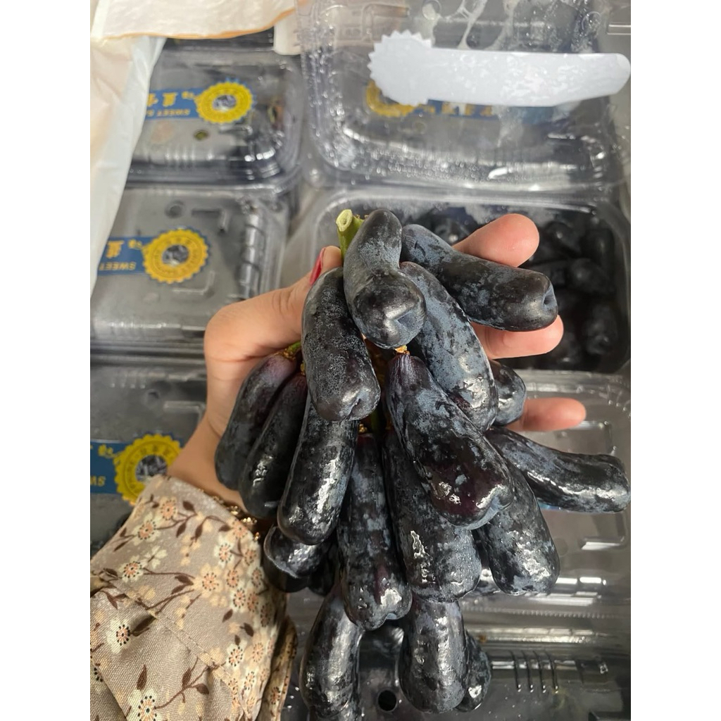 

Anggur sweet black safir