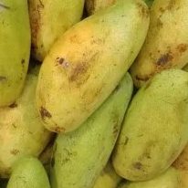 

mangga golek 1kg
