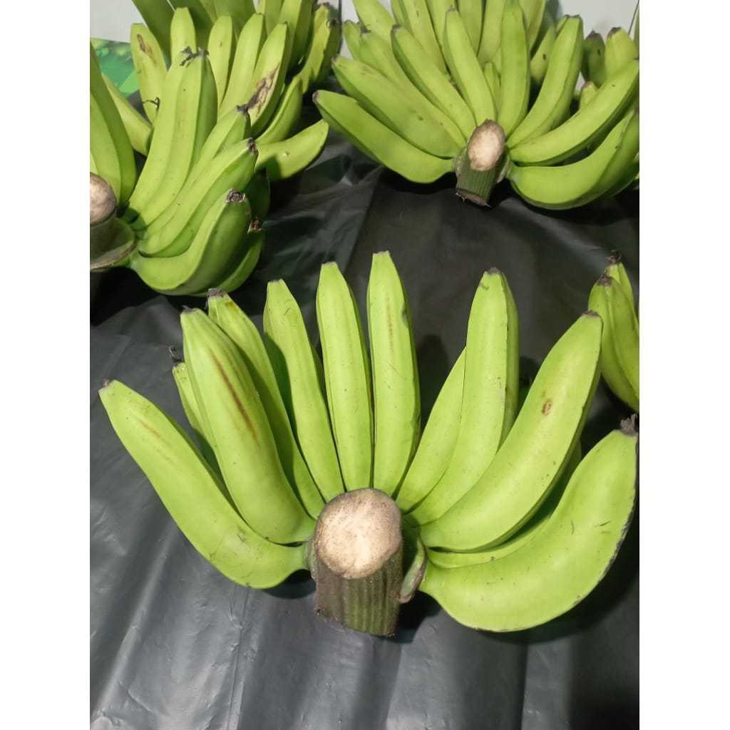 

Buah Pisang Ambon Segar Mentah Satu Sisir Petik Tua