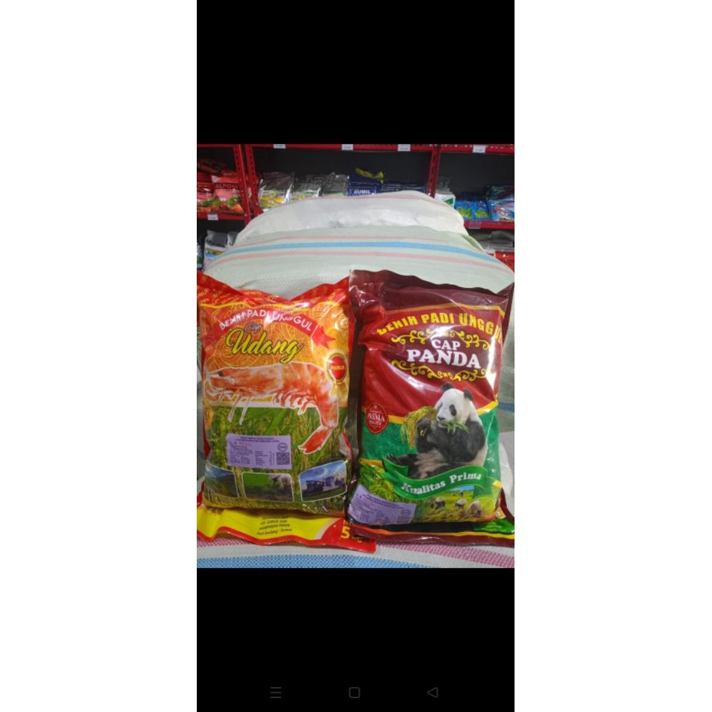 BENIH PADI INPARI 32 LABEL UNGU 5 KILO