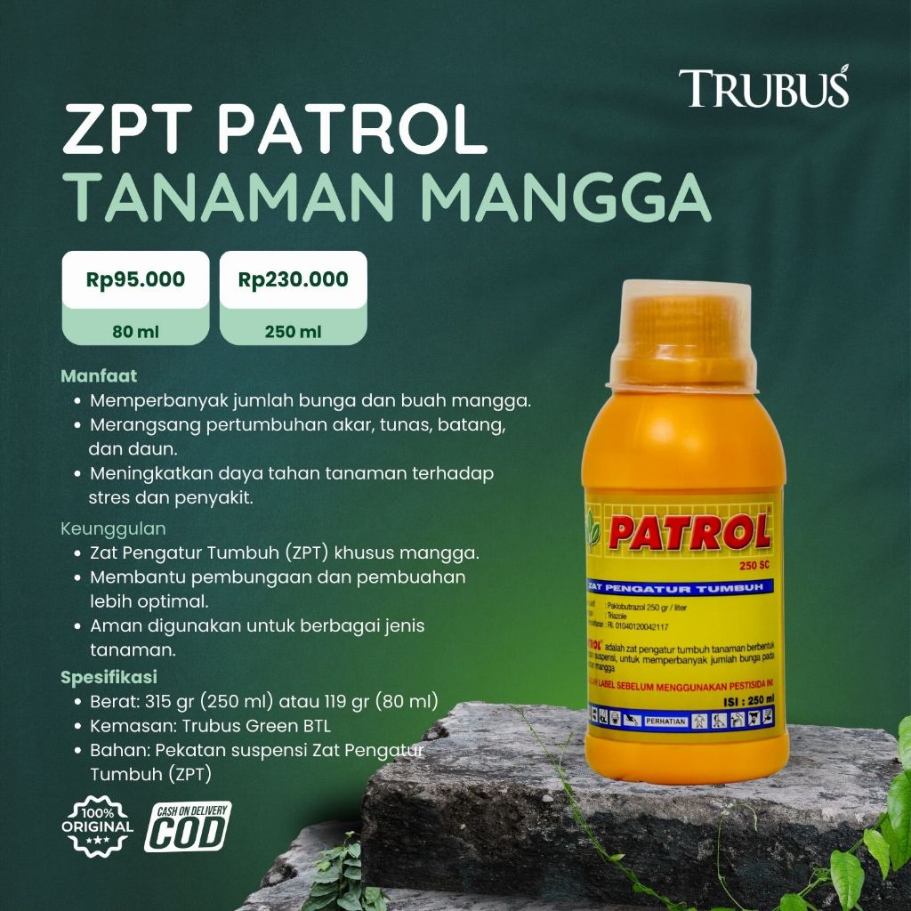 ZPT UNTUK TANAMAN MANGGA - TRUBUS GREEN