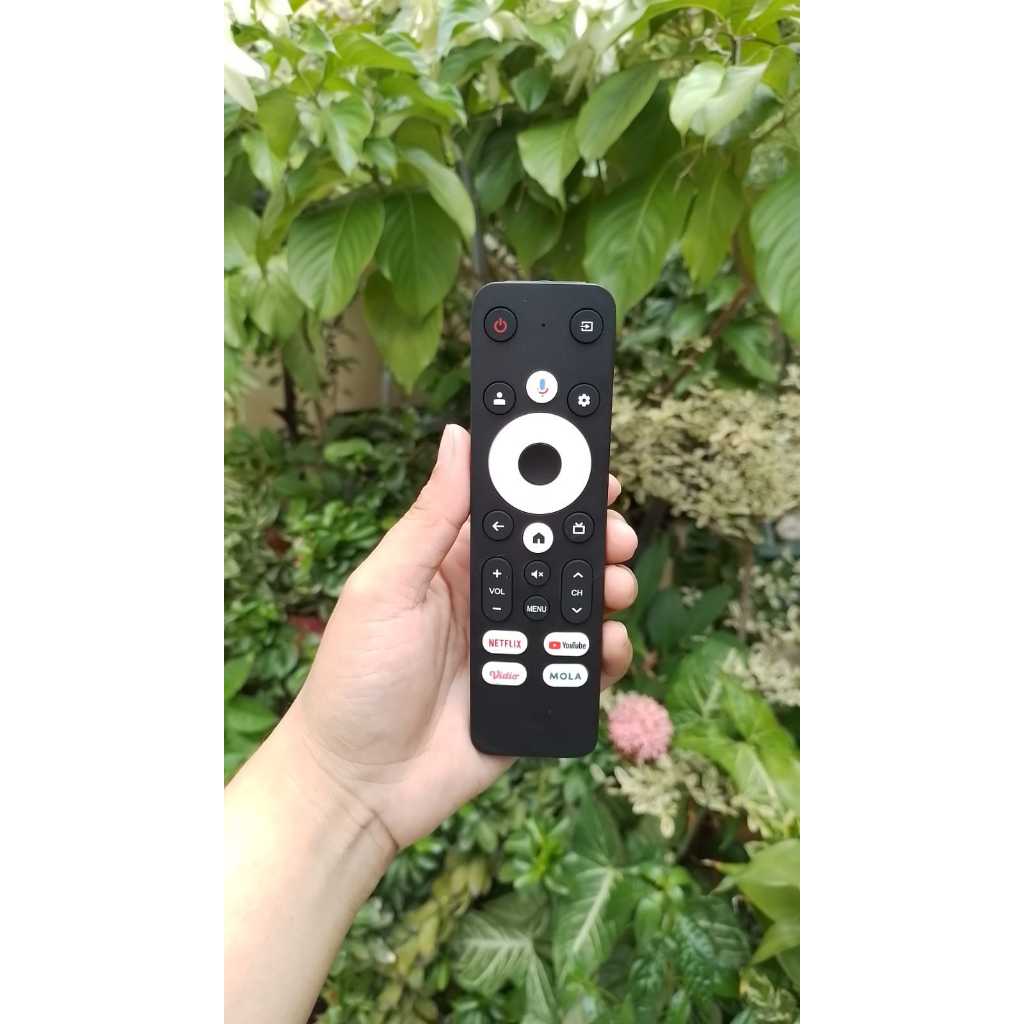 Remote TV Polytron Mola Netflix