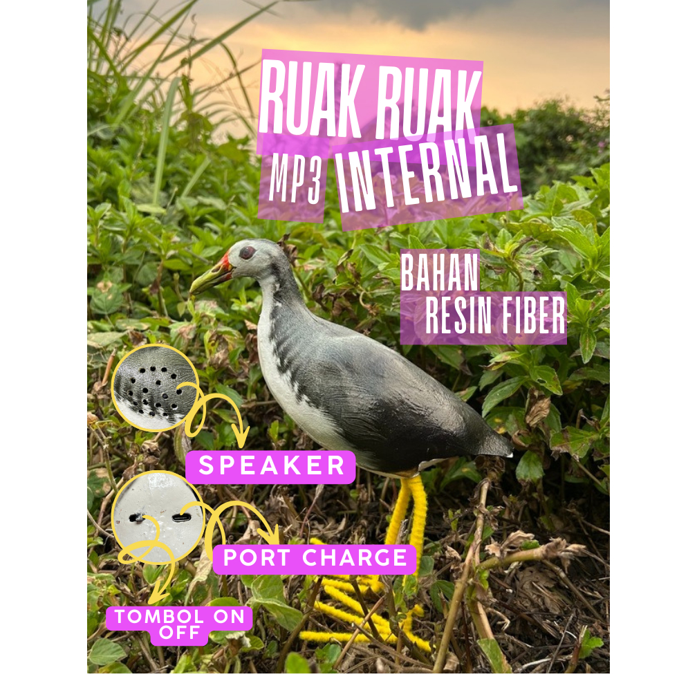 pikat jontrot ruak ruak mp3 sudah di dalam burung