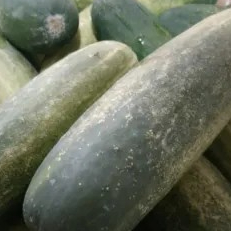 

timun muda 500gr 500g