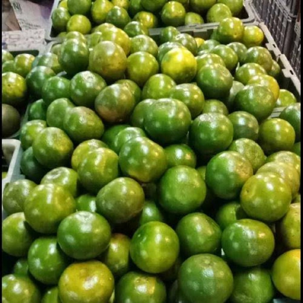 

Jeruk Peras Madu 1 Kg