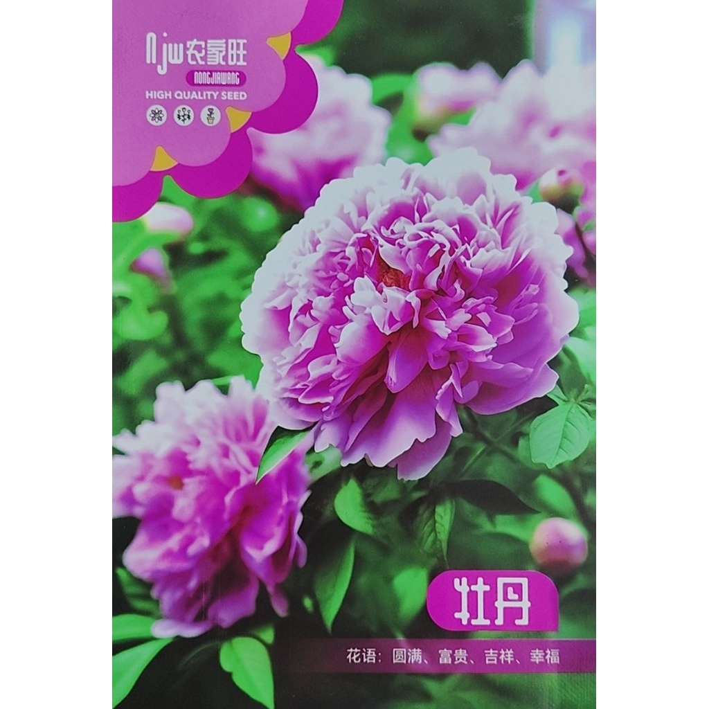 Benih Bunga Peony Berkualitas  isi 6 Biji Bibit PRC