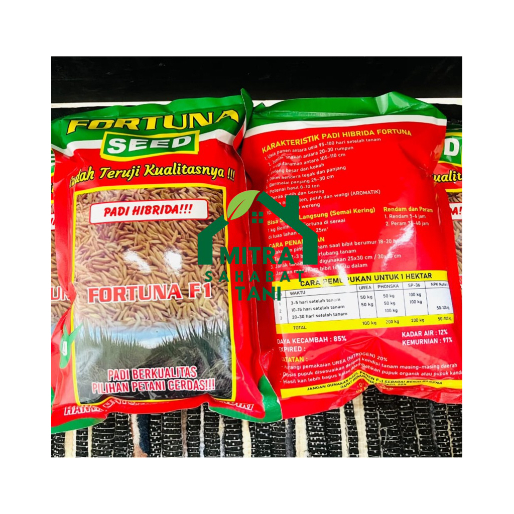 Terlaris Benih Padi Fortuna Seed F1 Hibrida