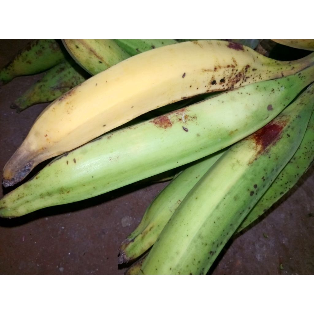 

pisang pisang tanduk / kg