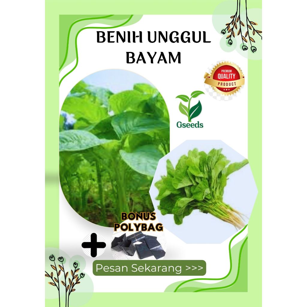 

Gseed ±250 Benih Unggul Bayam Benua Termurah