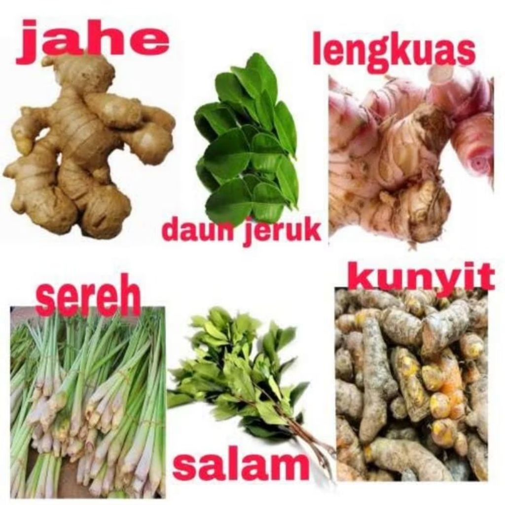 

Paket bumbu dapur 1 bungkus