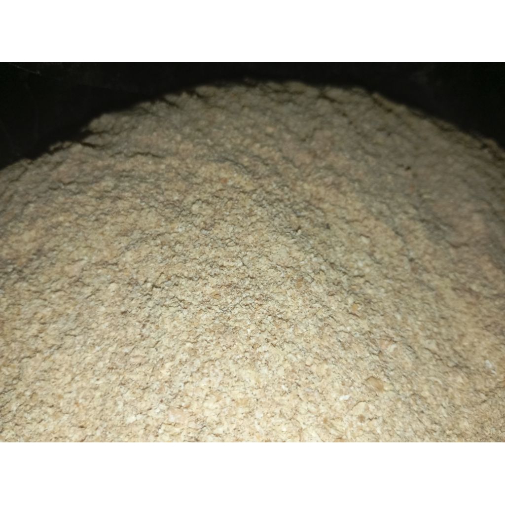 Pakan Polard gandum 1kg